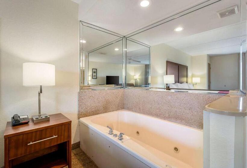 اتاق استاندارد با تخت بزرگ, Comfort Inn Kissimmee-Lake Buena Vista South