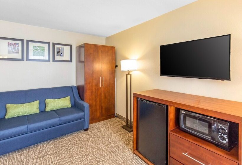 اتاق استاندارد با تخت بزرگ, Comfort Inn Wichita Falls North