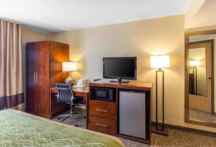 اتاق استاندارد با تخت بزرگ, Comfort Inn Wichita Falls North