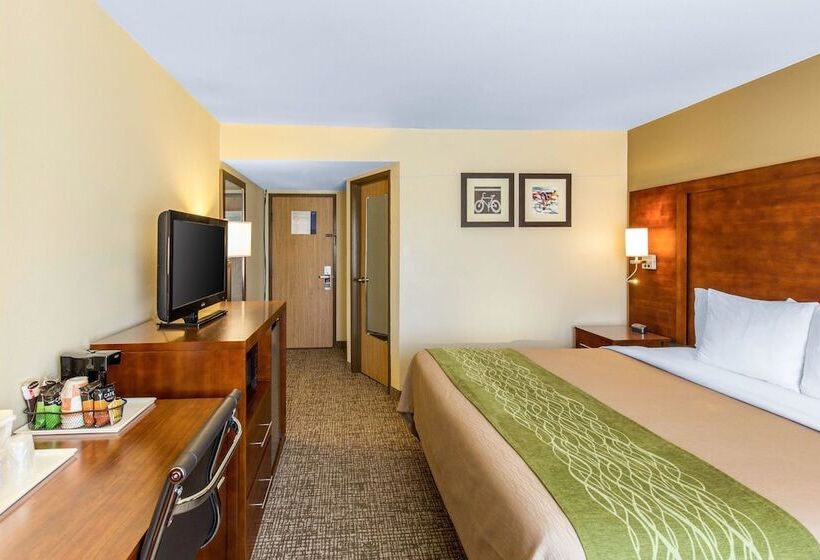 اتاق استاندارد با تخت بزرگ, Comfort Inn Wichita Falls North