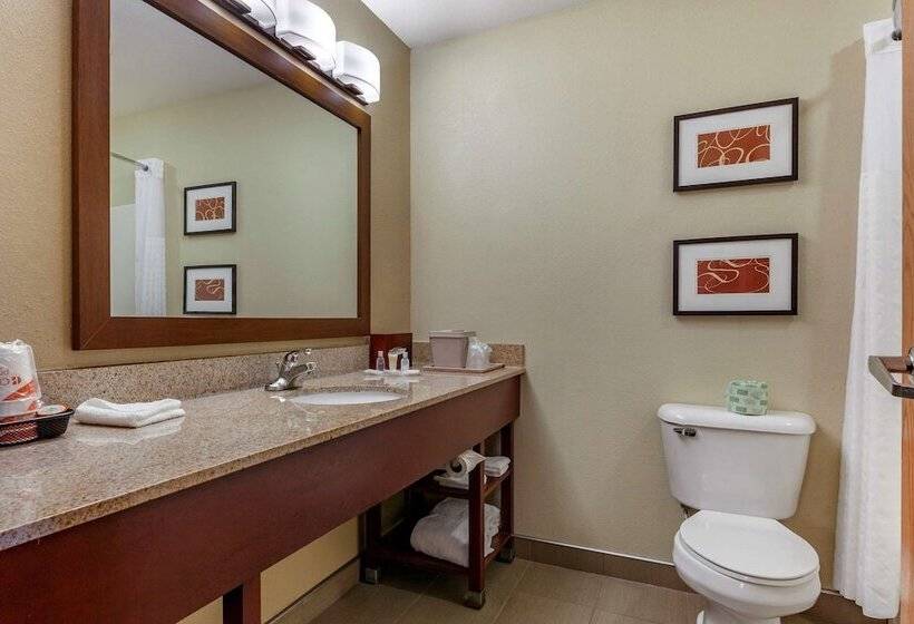 Suite Adapted for people with reduced mobility, Comfort Suites Delavan  Lake Geneva Area