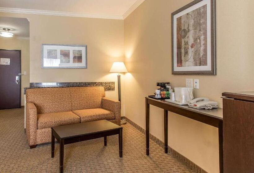 Suite Adapted for people with reduced mobility, Comfort Suites