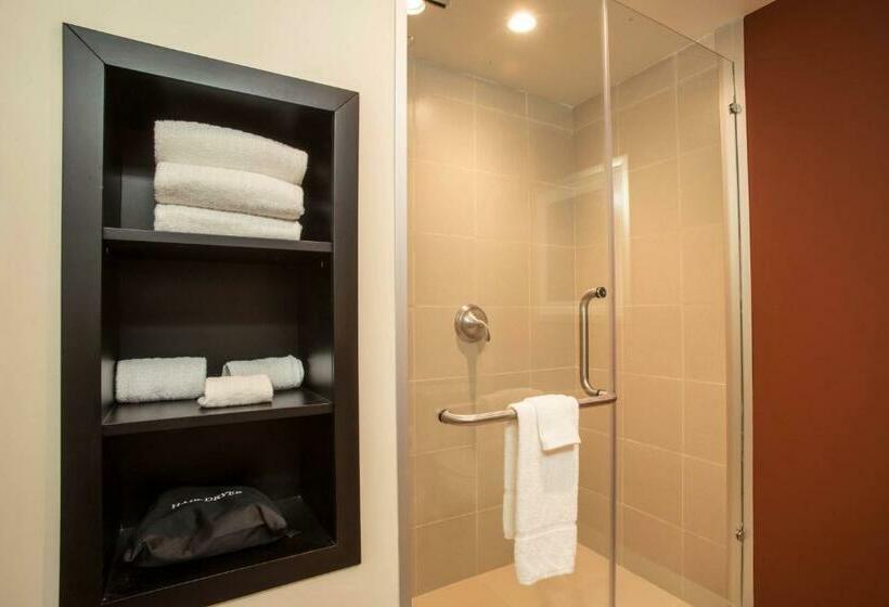 اتاق استاندارد با تخت بزرگ, Courtyard Toluca Tollocan