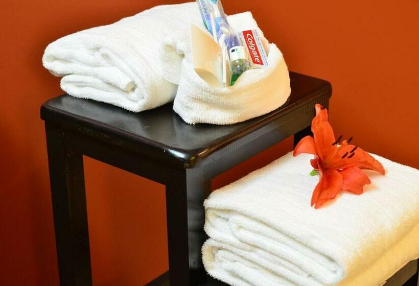 اتاق استاندارد با تخت بزرگ, Courtyard Toluca Tollocan