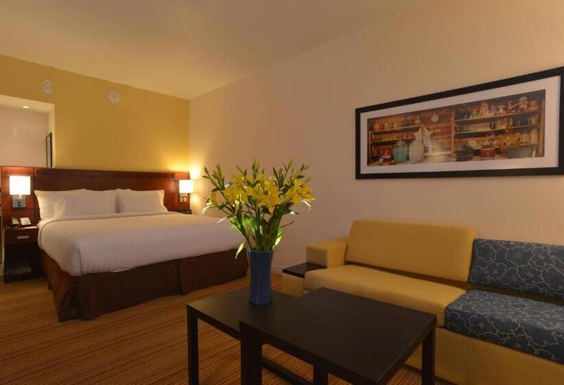اتاق استاندارد با تخت بزرگ, Courtyard Toluca Tollocan