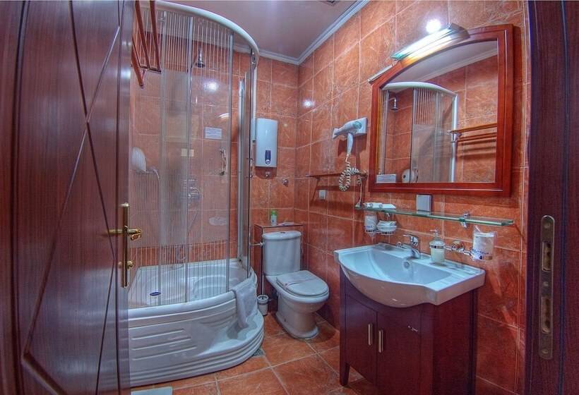 اتاق استاندارد یک نفره, Garni Hotel Planeta Inn