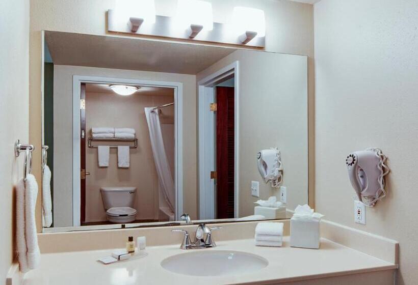 سوئیت با تخت بزرگ, Hawthorn Extended Stay By Wyndham College Station