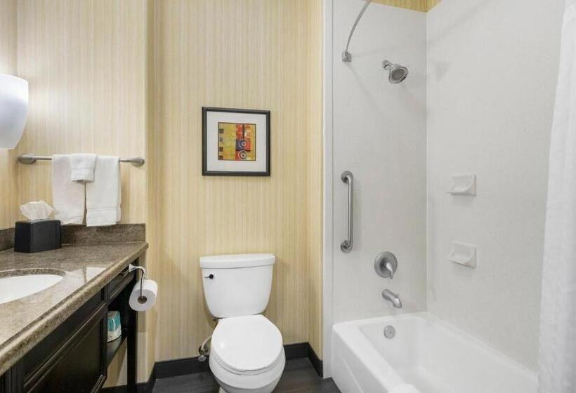 Standardrum King Size Säng, Holiday Inn  & Suites Waco Northwest