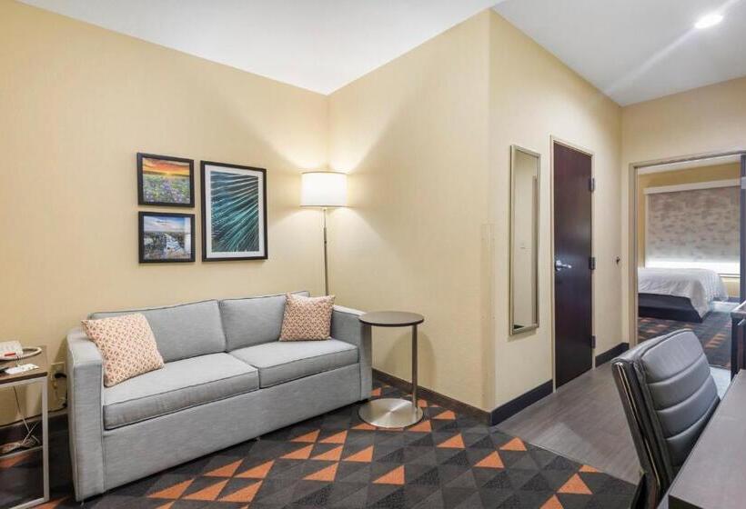 سوئیت با تخت بزرگ, Holiday Inn Hotel & Suites Waco Northwest, An Ihg