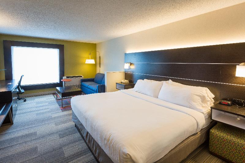 سوئیت با تخت بزرگ, Holiday Inn Express Hotel & Suites Reading, An Ihg