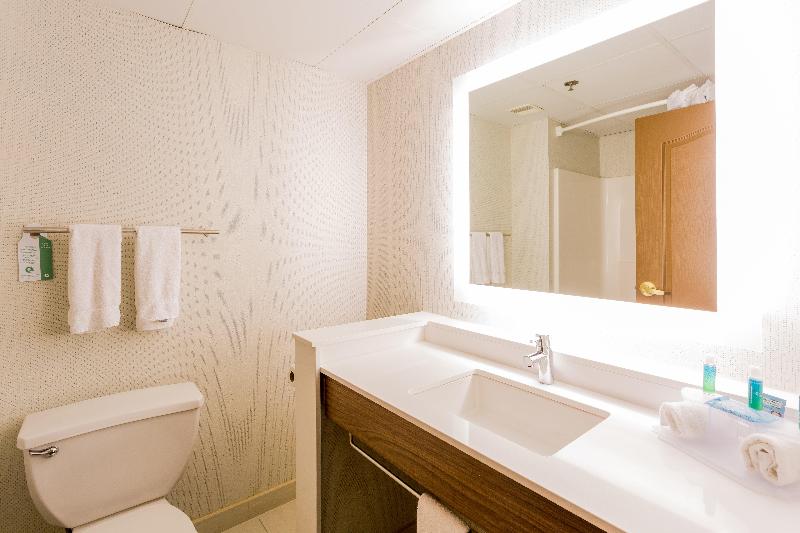 اتاق استاندارد با تخت بزرگ, Holiday Inn Express Hotel & Suites Reading, An Ihg