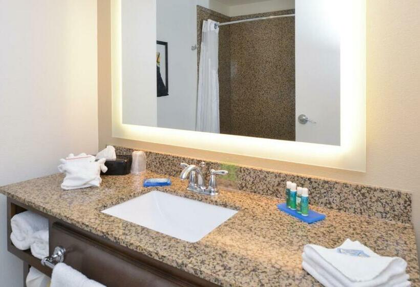 اتاق سوپریور, Holiday Inn Express Pocatello, An Ihg