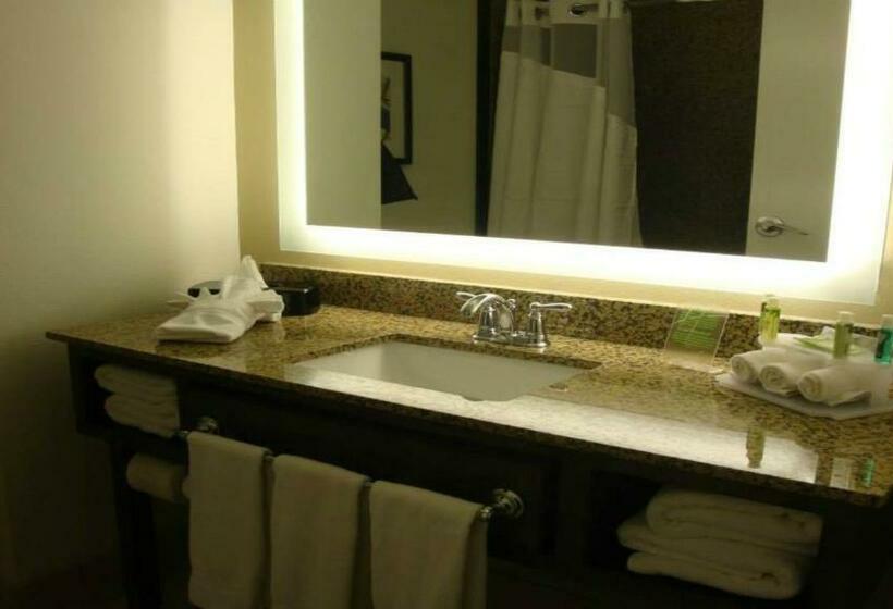 Superior Room, Holiday Inn Express Pocatello