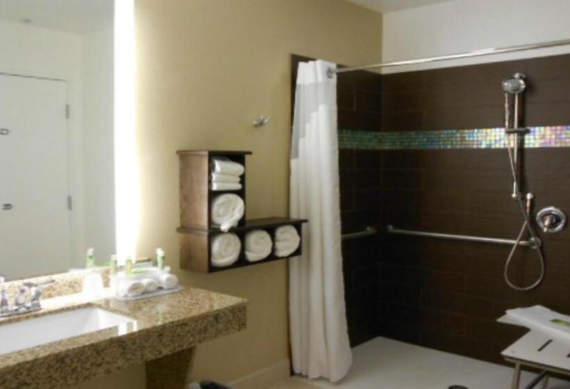 اتاق استاندارد با تخت بزرگ برای معلولان, Holiday Inn Express Pocatello, An Ihg