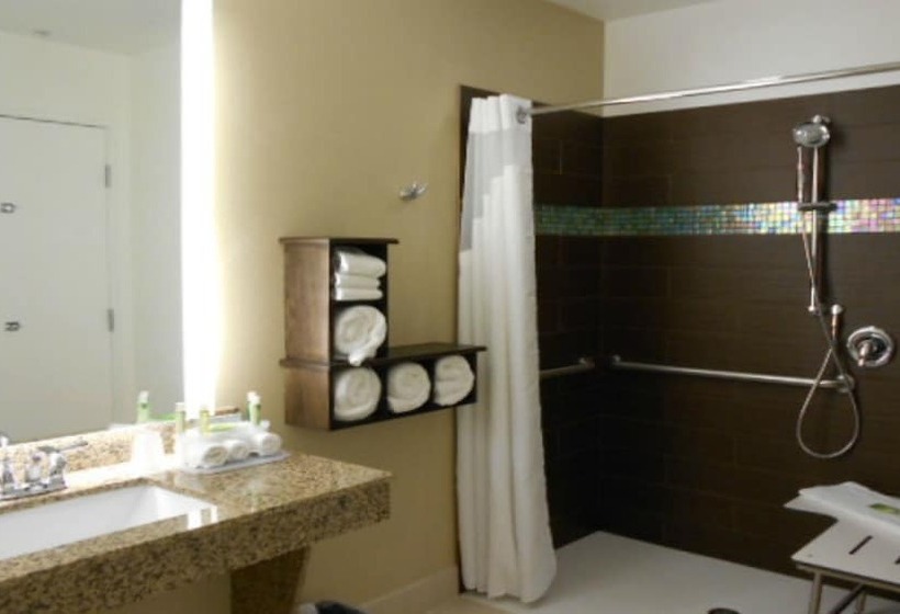 سوییت, Holiday Inn Express Pocatello, An Ihg