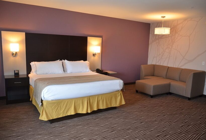 اتاق استاندارد با تخت دوبل, Holiday Inn Express & Suites Cheektowaga North East
