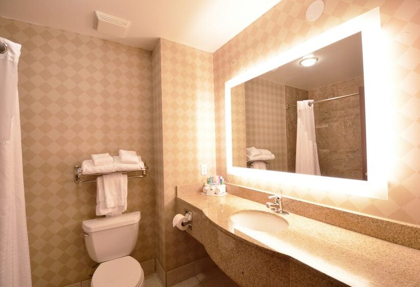 اتاق استاندارد, Holiday Inn Express Toledo Oregon, An Ihg
