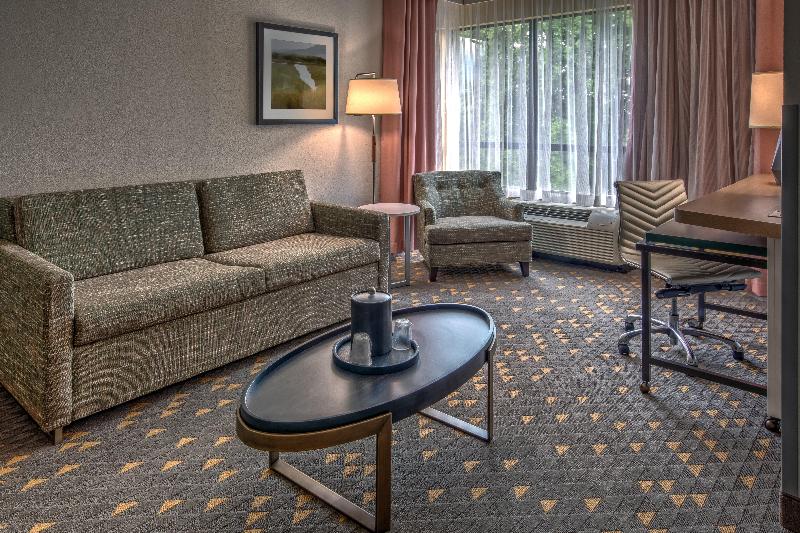 سوئیت با تخت بزرگ, Holiday Inn Rocky Mount I 95 @ Us 64, An Ihg
