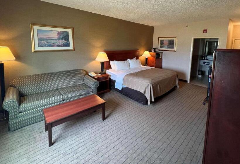 اتاق استاندارد با تخت بزرگ, Quality Inn & Suites