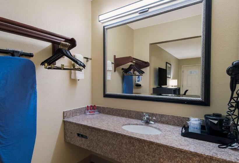 اتاق استاندارد برای معلولان, Surestay Plus Hotel By Best Western Jackson
