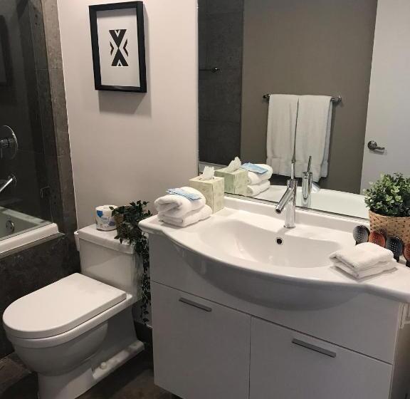 استودیوی استاندارد, Brickell By Miami Vacation Rentals