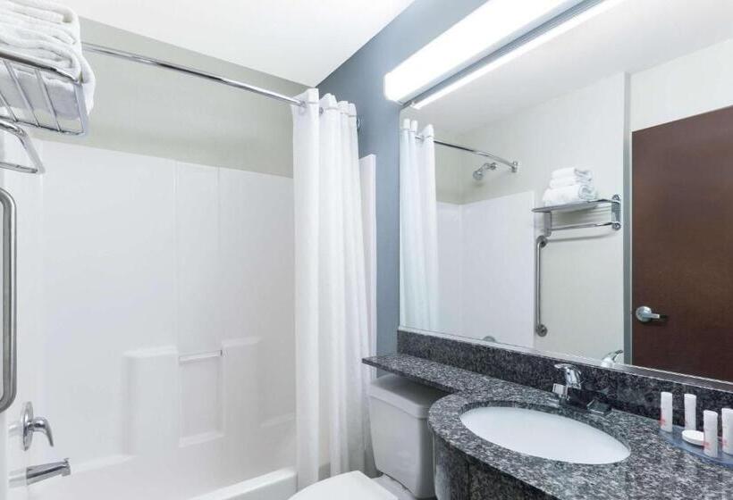 اتاق استاندارد, Microtel Inn And Suites Baton Rouge Airport