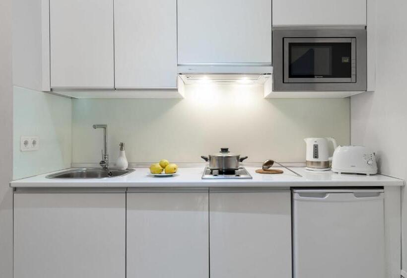 آپارتمان سوپریور 1 خوابه, Suites Sevilla Plaza