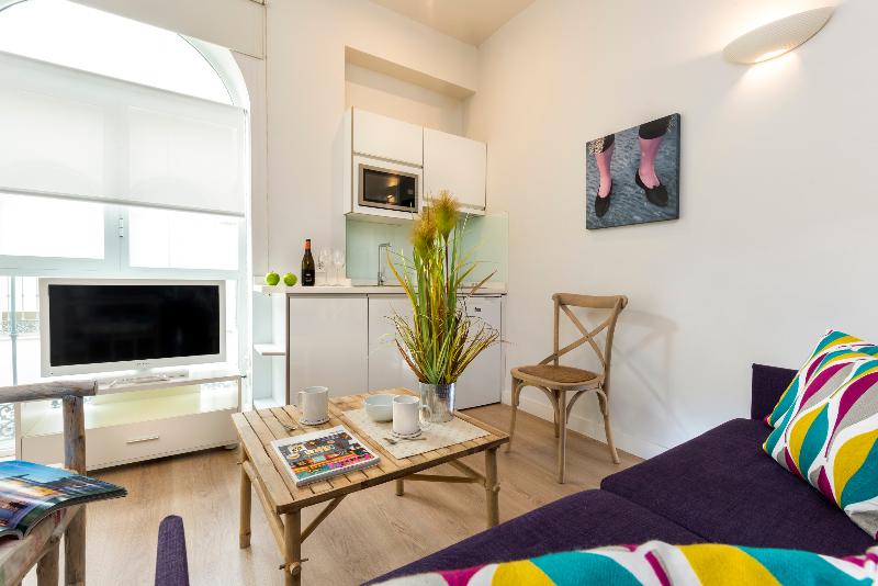 آپارتمان 2 خوابه, Suites Sevilla Plaza