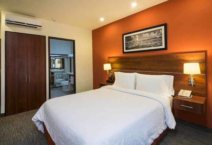 اتاق استاندارد با تخت دوبل, Hampton Inn By Hilton San Juan Del Rio