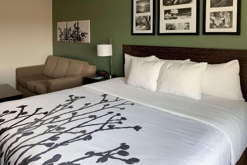 اتاق استاندارد با تخت بزرگ, Hampton Inn & Suites Decatur