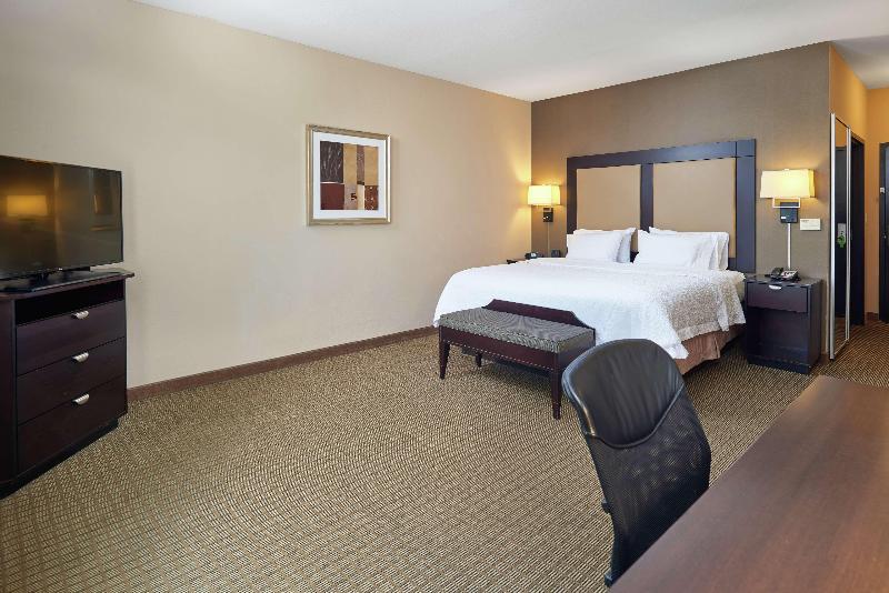 اتاق استاندارد با تخت بزرگ, Hampton Inn & Suites Decatur