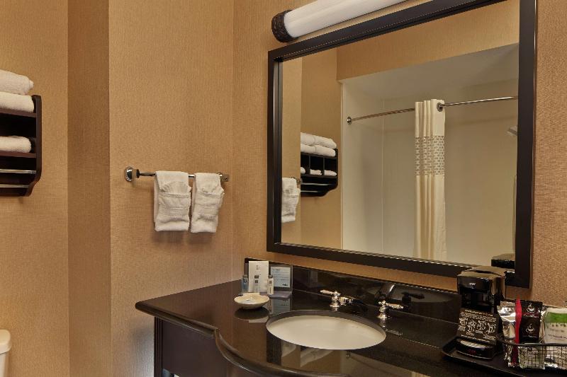 اتاق استاندارد با تخت بزرگ, Hampton Inn & Suites Decatur