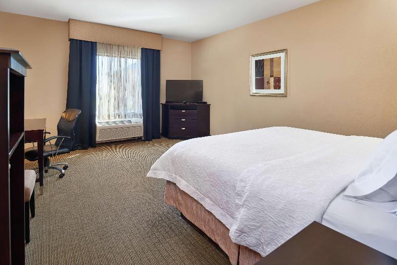اتاق استاندارد با تخت بزرگ, Hampton Inn & Suites Decatur
