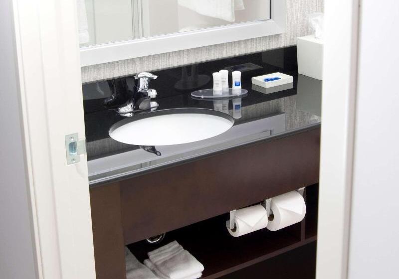 استودیو استاندارد با تخت کینگ, Hampton Inn & Suites Liberal