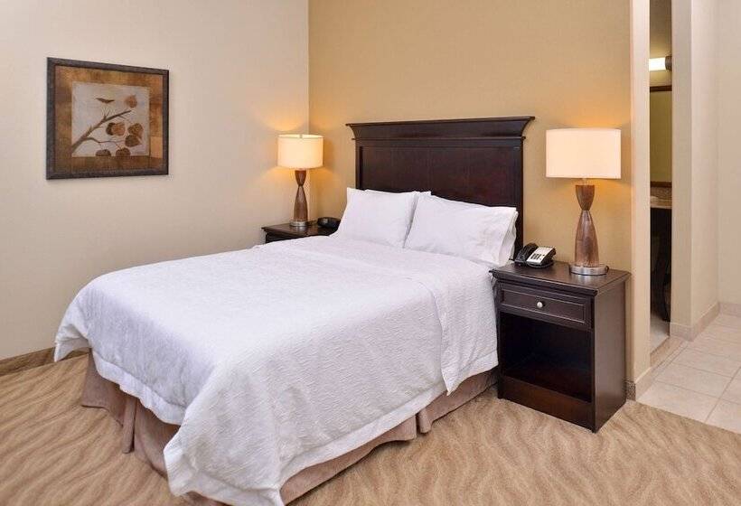 Standard Room Adapted for people with reduced mobility, Hampton Inn Van Horn