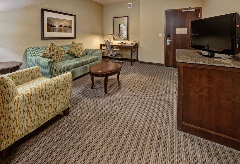 سوییت, Hilton Garden Inn Tulsa Midtown