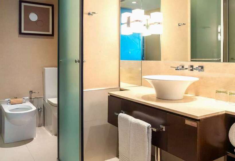Büyük Çift Kişilik Yataklı Standart Oda, Hilton Jaipur
