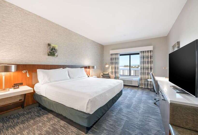 Büyük Çift Kişilik Yataklı Standart Oda, Hilton Jaipur