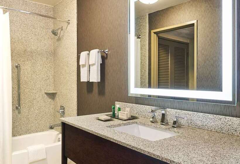 Büyük Çift Kişilik Yataklı Standart Oda, Hilton Jaipur