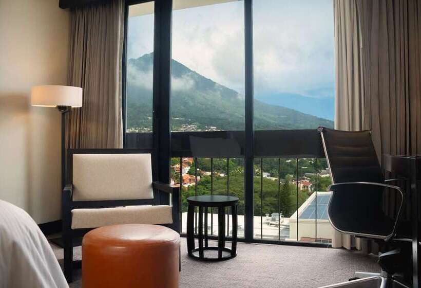 Büyük Çift Kişilik Yataklı Executive Oda, Hilton Jaipur