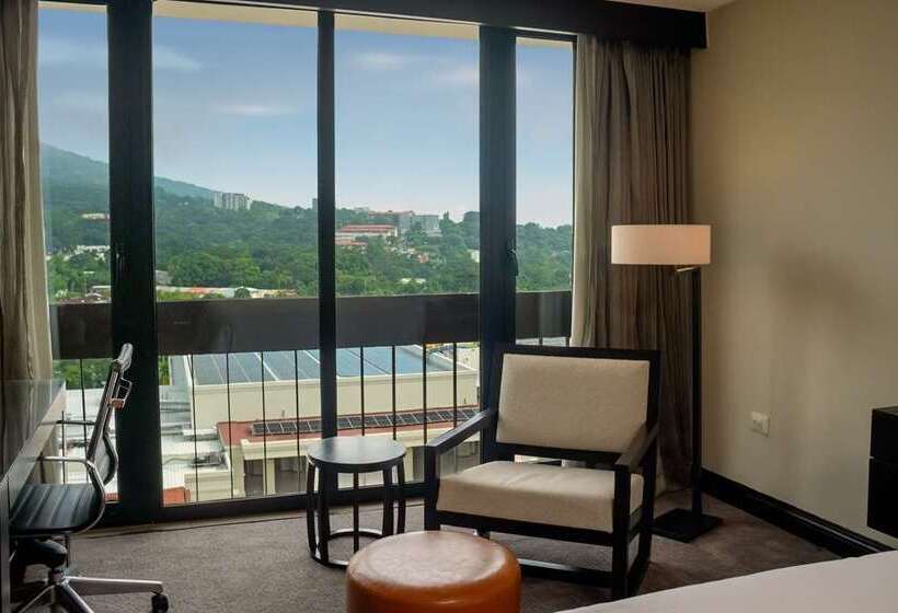 Büyük Çift Kişilik Yataklı Executive Oda, Hilton Jaipur