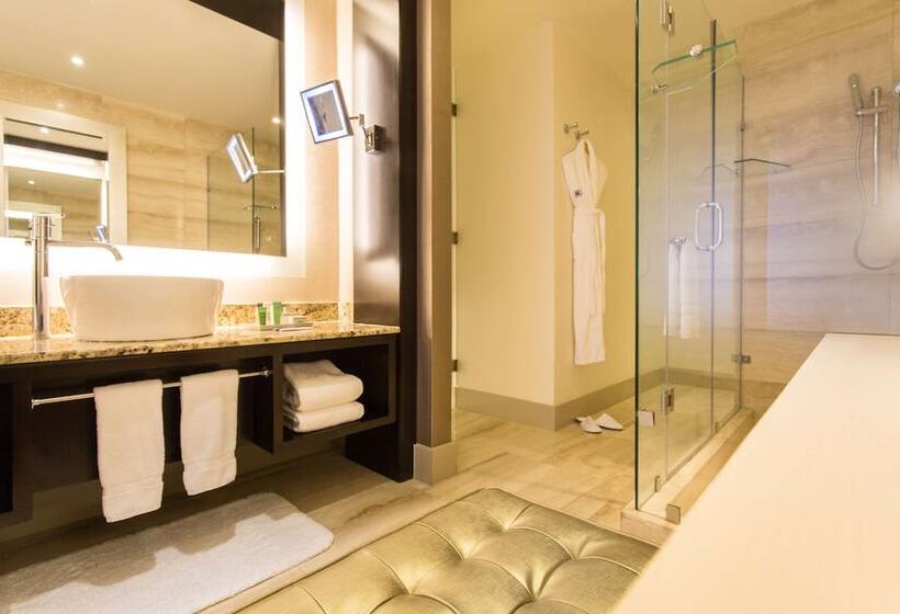 اتاق استاندارد, Hilton Panama