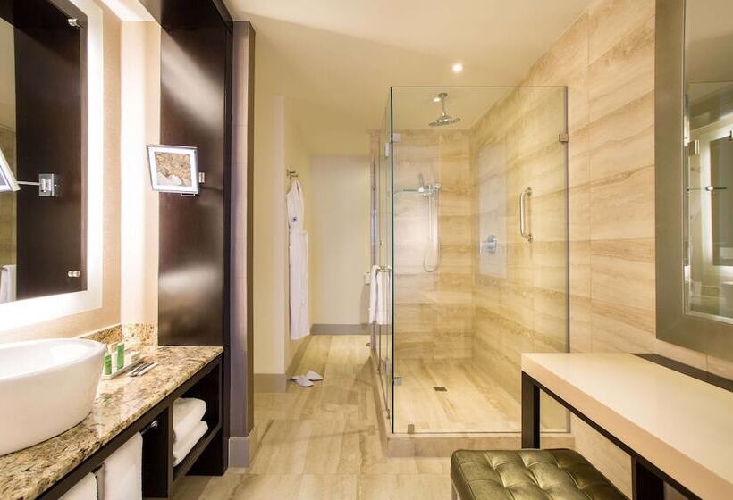 اتاق پرمیوم با چشم‌انداز دریا, Hilton Panama