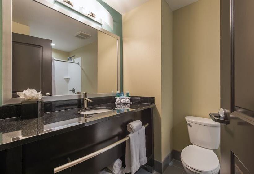 اتاق استاندارد با 2 تخت دوبل, Holiday Inn Express  & Suites Colorado Springs