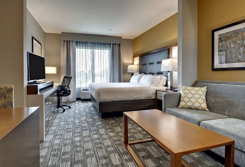 اتاق استاندارد برای معلولان, Holiday Inn Express Hotel & Suites Albany By Ihg