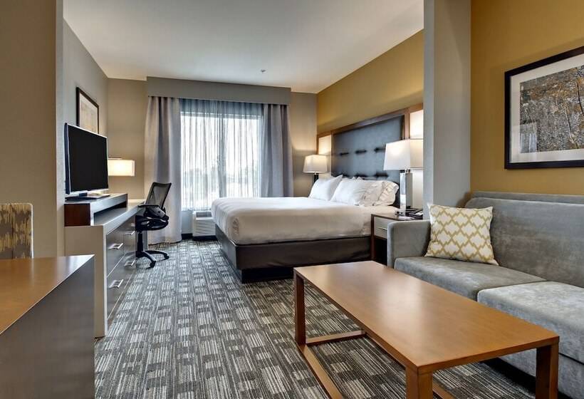 Chambre Standard Adaptée aux Personnes à Mobilité Réduite, Holiday Inn Express & Suites Albany