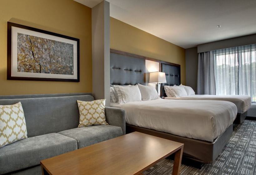 Suite, Holiday Inn Express & Suites Albany