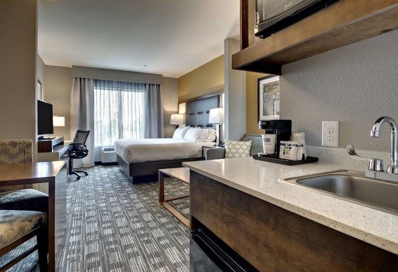 Suite, Holiday Inn Express & Suites Albany