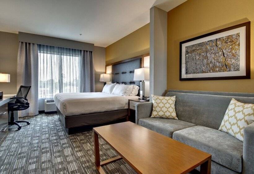 Suite, Holiday Inn Express & Suites Albany