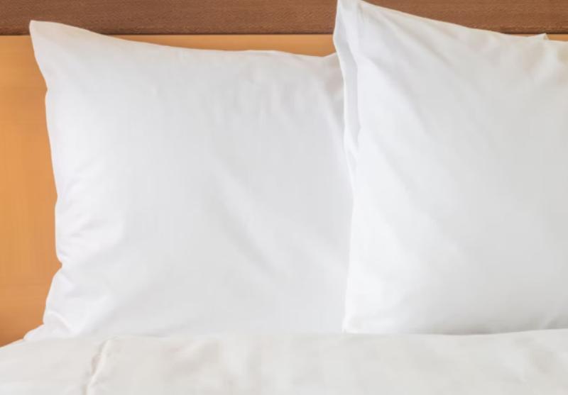 اتاق استاندارد برای معلولان, Holiday Inn Express Hotel & Suites Albany By Ihg